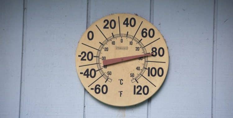 Read more about the article Patio Thermometers: A Buyer’s Guide!