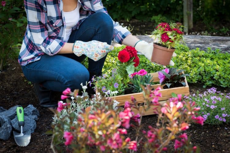 Is gardening exercise?