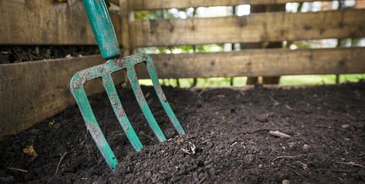 You are currently viewing Garden Fork VS Border Forks: All the Differences