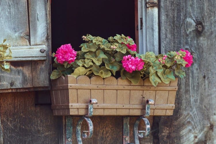 Planter box