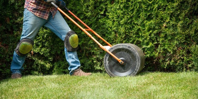 Read more about the article Do Lawn Rollers Work?