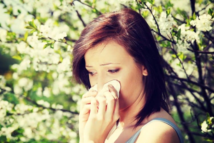 Tree Pollen Allergy Season