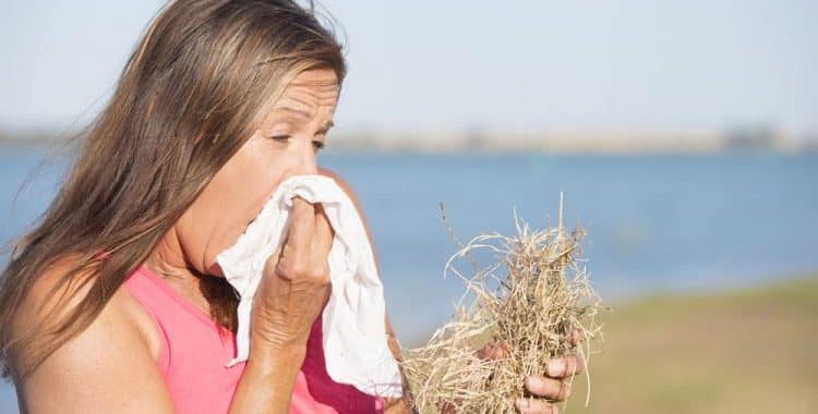 Read more about the article Grass Hay Fever Season & What You Need To Know!