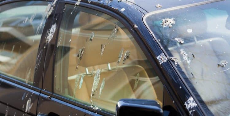 Read more about the article Does Bird Poop Damage Car Paint?