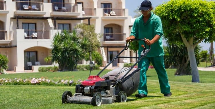 Are Lawn Care Services Worth It?